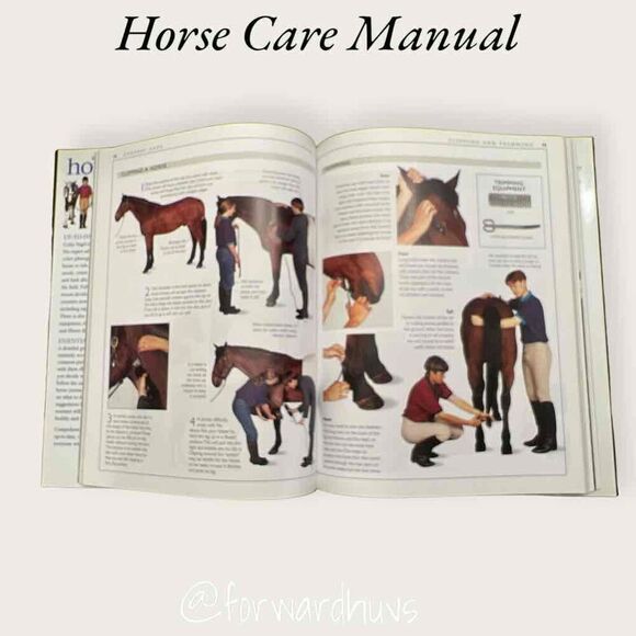 Complete Horse Care Manual - Hard Cover - Picture 7 of 9